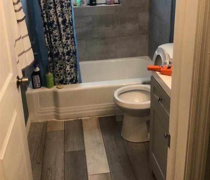 Bathroom Restored After Dunedin Sewer Backup