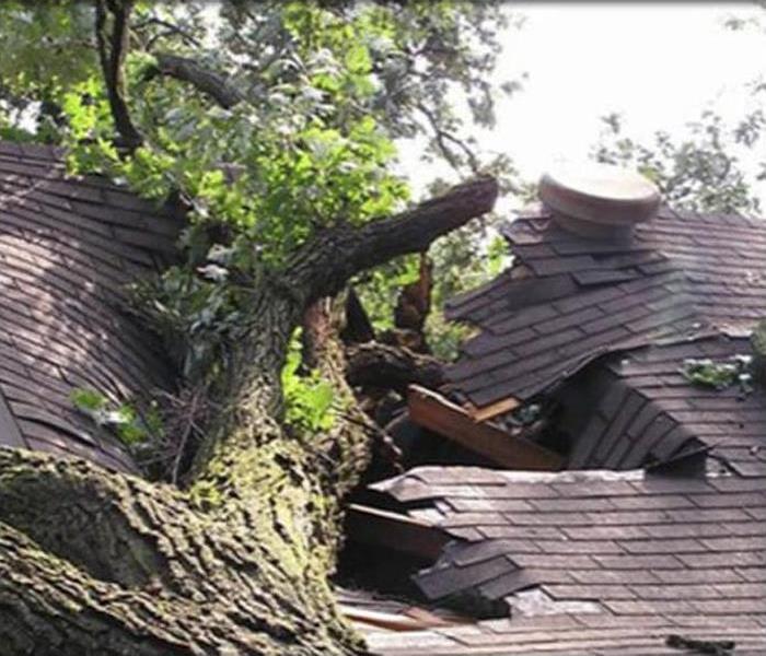 Storm topples tree, damaging roof of home